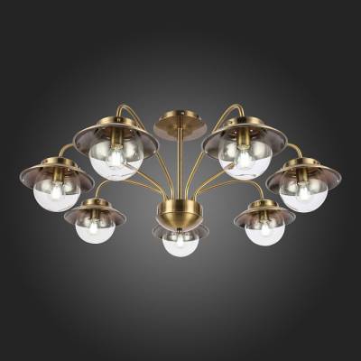 Потолочная люстра EVOLUCE Garonni SLE110102-07 фото