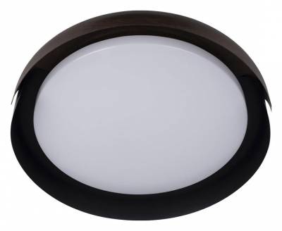 Накладной светильник Loft it Coin 10198 Black фото