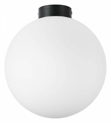 Накладной светильник Lightstar Globo 812037 фото