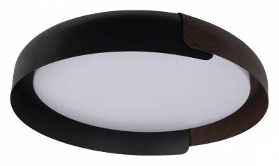 Накладной светильник Loft it Coin 10198 Black фото