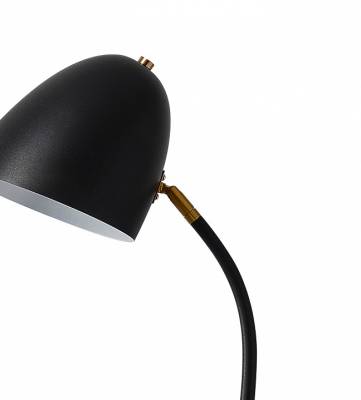 Торшер Kink Light Олби 07041,19 фото