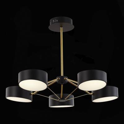 Люстра на штанге EVOLUCE Valle SLE6005-402-05 фото