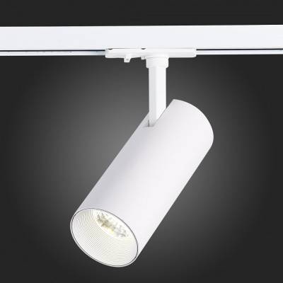 Светильник на штанге ST-Luce Mono ST350.536.20.36 фото