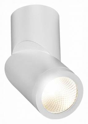 Светильник на штанге ST-Luce ST650 ST650.542.10 фото