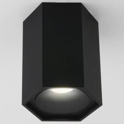 Накладной светильник Elektrostandard 25037/LED 25037/LED фото