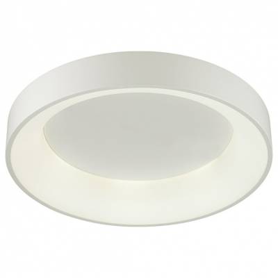 Накладной светильник Odeon Light Sole 4062/50CL