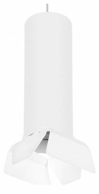 Подвесной светильник Lightstar Rullo RP6496486 фото