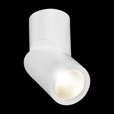 Светильник на штанге ST-Luce ST650 ST650.532.10 фото