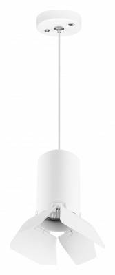 Подвесной светильник Lightstar Rullo RP436436 фото