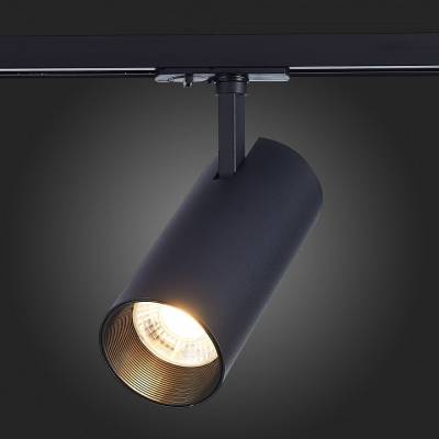 Светильник на штанге ST-Luce Mono ST350.436.30.36 фото