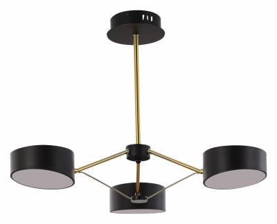 Люстра на штанге EVOLUCE Valle SLE6005-402-03 фото