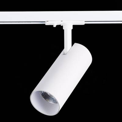 Светильник на штанге ST-Luce Mono ST350.536.20.36 фото