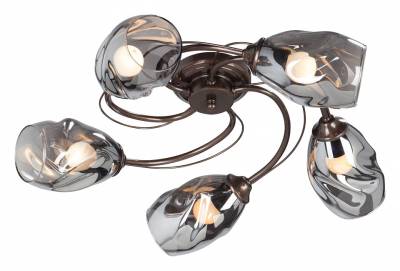 Потолочная люстра Vitaluce  V4937-7/5PL фото