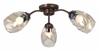 Потолочная люстра Vitaluce 4929 V4929-7/3PL фото