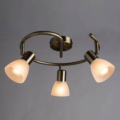 Спот Arte Lamp Parry A5062PL-3AB фото