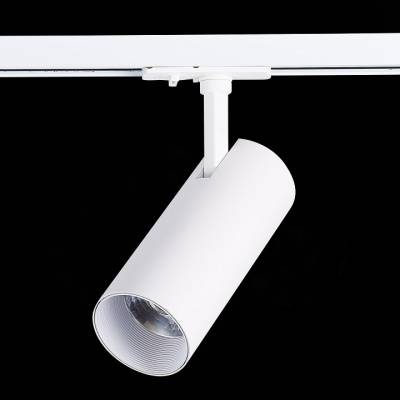 Светильник на штанге ST-Luce Mono ST350.546.20.36 фото