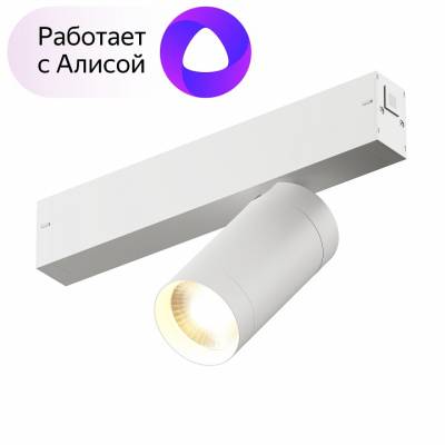 Светильник на штанге Denkirs Dk80 DK8010-WH фото