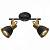Спот Arte Lamp Jovi A1677PL-2GO фото