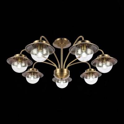 Потолочная люстра EVOLUCE Garonni SLE110102-07 фото