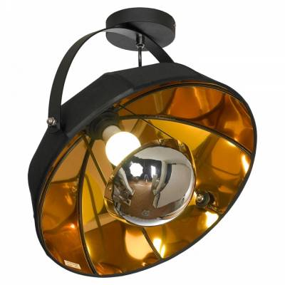 Светильник на штанге Lussole Klamath LSP-0556-C фото