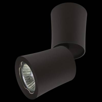 Светильник на штанге Lightstar Rotonda 214457 фото