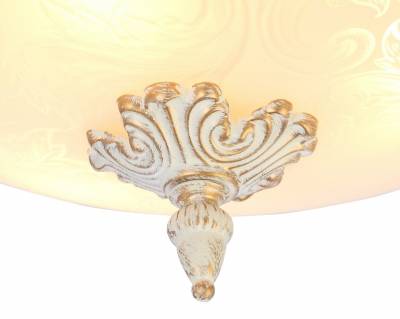 Накладной светильник Arte Lamp Crown A4541PL-3WG фото