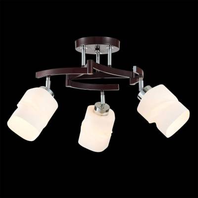 Потолочная люстра Citilux Берта CL126132 фото