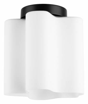 Накладной светильник Lightstar Nubi 802017 фото