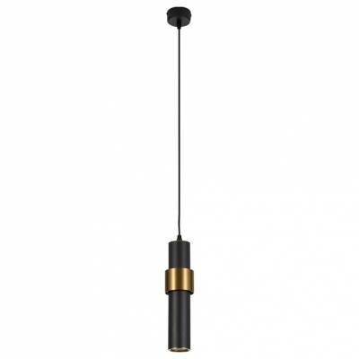 Подвесной светильник Arte Lamp Ran A3144SP-1BK фото