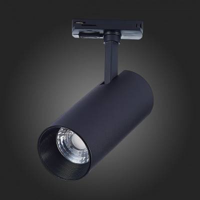 Светильник на штанге ST-Luce Mono ST350.436.20.36 фото