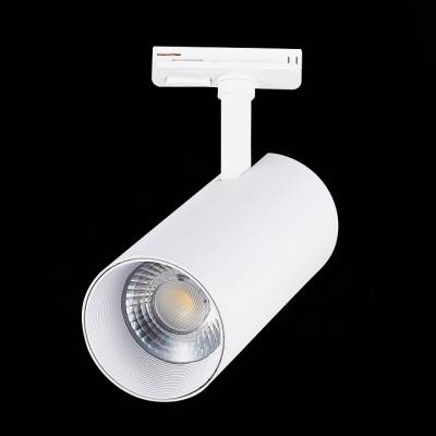 Светильник на штанге ST-Luce Mono ST350.546.30.24 фото