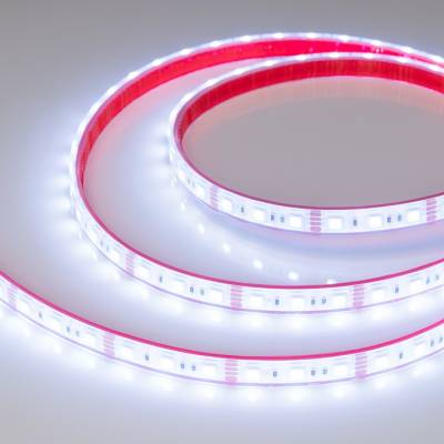Лента светодиодная Arlight RTW герметичная 033790 фото