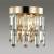 Накладной светильник Odeon Light Dakisa 4986/2W фото