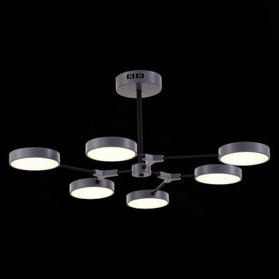 Люстра на штанге EVOLUCE Monta SLE6003-702-06 фото