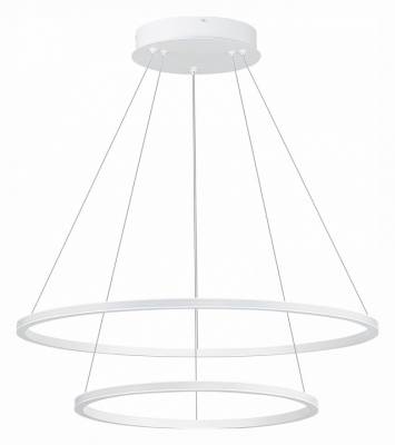 Подвесной светильник ST-Luce ST604 OUT ST604.543.56 фото