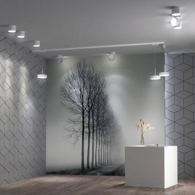 Накладной светильник Novotech Prometa 358749 фото