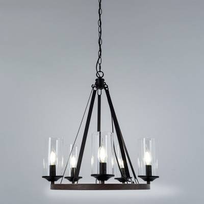 Подвесная люстра Arte Lamp Dalim A7014SP-5BK фото