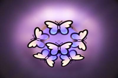 Накладной светильник Escada Butterfly 10205/5LED фото