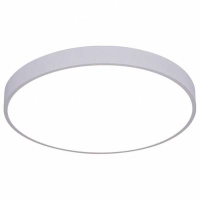 Накладной светильник Arte Lamp Arena A2670PL-1WH