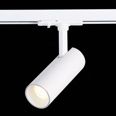 Светильник на штанге ST-Luce Mono ST350.546.10.36 фото
