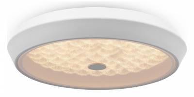 Накладной светильник Freya Cells FR10012CL-L24W фото