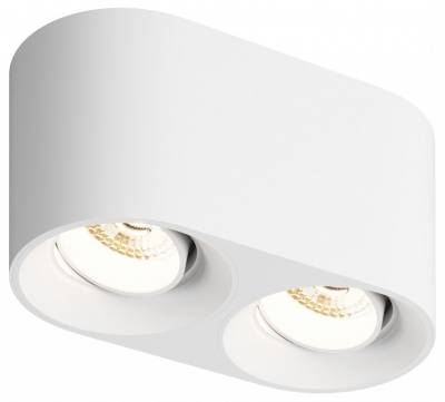 Накладной светильник Denkirs DK3020WW DK3096-WH фото