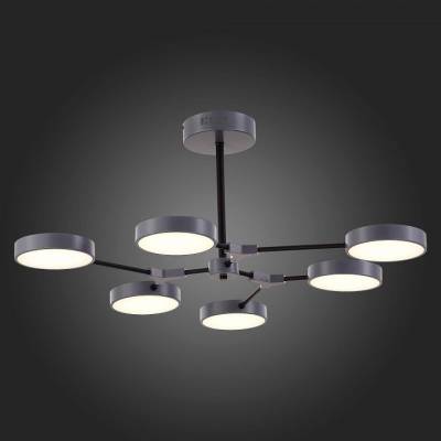Люстра на штанге EVOLUCE Monta SLE6003-702-06 фото