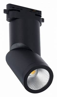 Светильник на штанге ST-Luce ST650 ST650.436.10 фото