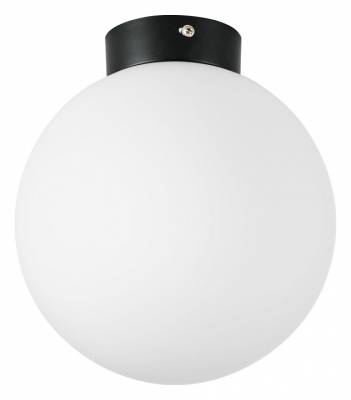 Накладной светильник Lightstar Globo 812027 фото