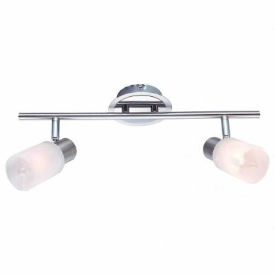 Спот Arte Lamp Cavalletta A4510PL-2SS фото