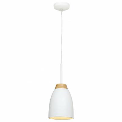 Подвесной светильник Loft it Watchman LOFT4402A-WH фото