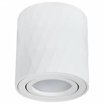 Накладной светильник Arte Lamp Fang 2 A5559PL-1WH фото