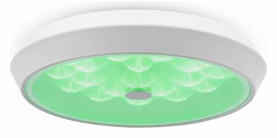 Накладной светильник Freya Cells FR10012CL-L24W фото