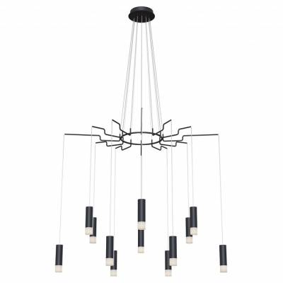 Подвесная люстра Maytoni Davida MOD035PL-12B фото